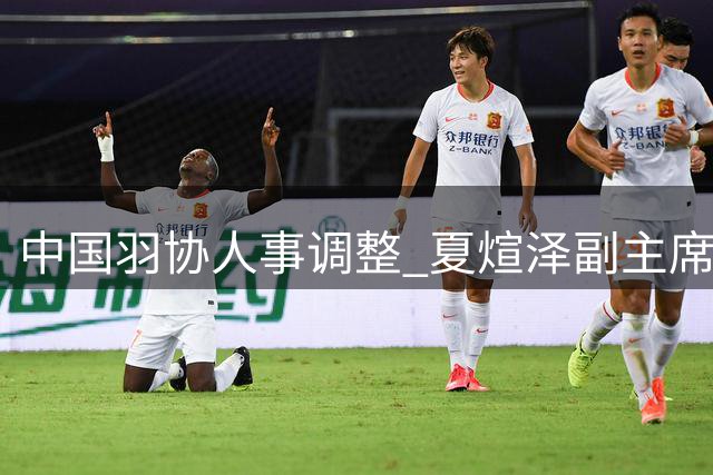 中国羽协人事调整 夏煊泽副主席职务被免